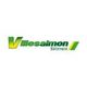 Villesalmon SARL
