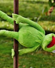 Café Deliciosat Bild 1