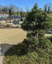 Daniel Moquet signe vos jardins - Ent. Harmony Paysage image 12