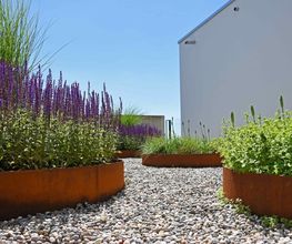 gartenbaumann AG Bild 8