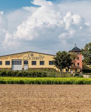 Weingut Schmitt Bergtheim Bild 4