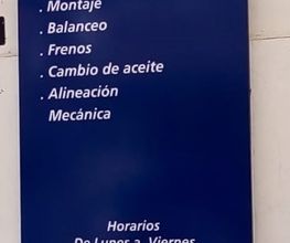 Michelin -Tirex JB Lobos imagen 2