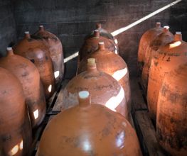 Terre de l'Élu image 10