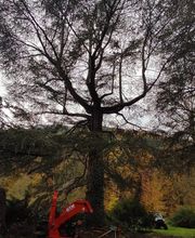 Haut Fil des branches image 7