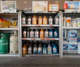Shell Bild 7