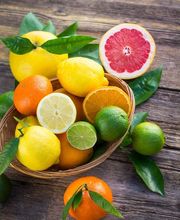 Durand-Proust Amélie image 4