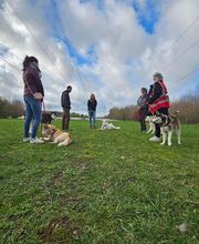 Bien dans ses Pattes image 14