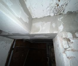 IMG_5778.jpeg