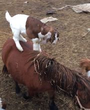 Copeland Insurance Agency, Inc. image 16