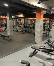 Vista general de la zona de peso libre