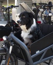 Kocher Bike Bern | Riese & Müller Erlebnis-Store | Verkauf & Service Bild 6