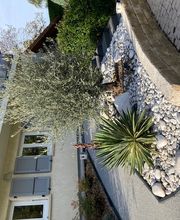 Fischer Philippe Bild 6