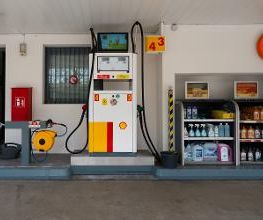 Shell Bild 6