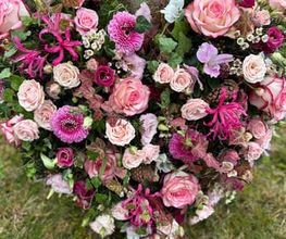 Zimmermann Flaach AG Blumen & Gartenbau Bild 10