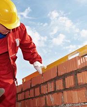 Flores Martin image 1