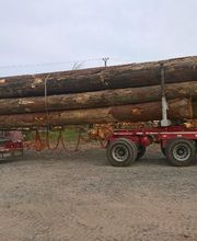 Fourgoux Auvergne Bois image 8