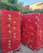 Les Delices de nos Regions image 13