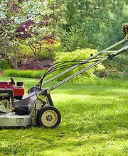 Le Paradou Vert image 1