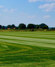 Rollrasen - Henning Hagedorn Bild 1