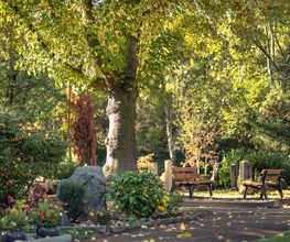 Friedhof Wanheim - Ev. Rheingemeinde Duisburg, Foto: Andreas Reinsch