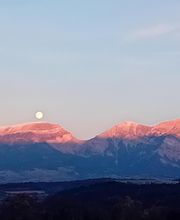 Le Comptoir des Géants image 3