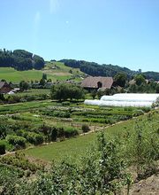 Créafloristique AG Bild 2