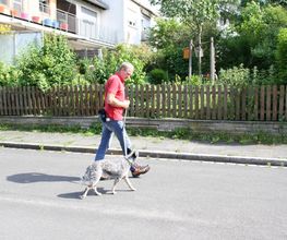 MenschUndHundZentrum Bild 41