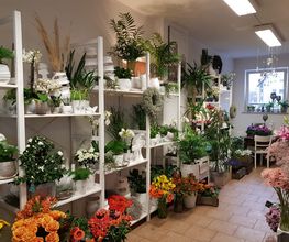 Rosenthal - DAS BLUMENGESCHÄFT Bild 2