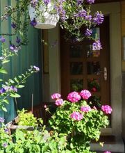 Naturheilpraxis Katrin Leibundgut Bild 14