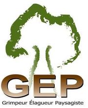 GEP Services image 1
