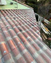 Flores Michel image 3