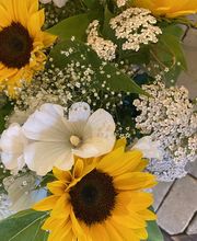 Fleur Evasion Sàrl Bild 10