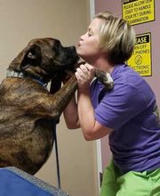 Veterinary Medical Center image 6