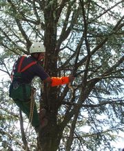 Bourgey Laurent image 5