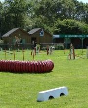 La Récréachien image 1