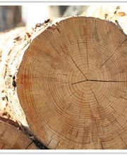 Schreinerei Gottwalt Inh. Cornelia Geis Bild 2