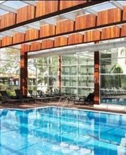 Saulnier Stéphane image 4