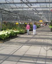 Plantencentrum Velden afbeelding 5