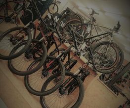 Velo Styl image 7