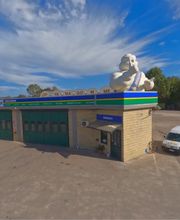 Euromaster Yama Gomme immagine 6