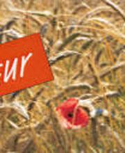 Mühle Bachmann AG Bild 10