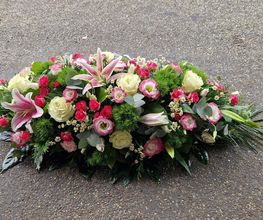 Hellebore image 15