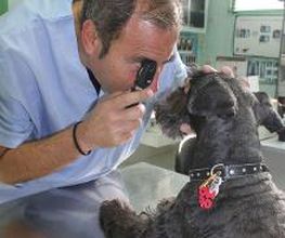 Argos Clínica Veterinaria imagen 2