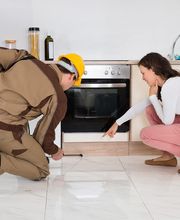 TRATAMIENTOS PLAGUINSA imagen 3