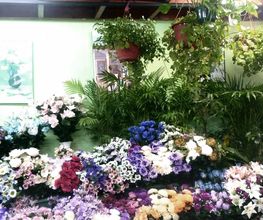 Floristería Manuela imagen 16
