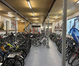 Fahrradmarkt Neukirch Bild 3