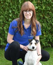 Tierarztpraxis im Hölzli Bild 11