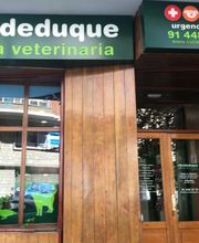 clinica-veterinaria-01-g.jpj.jpg