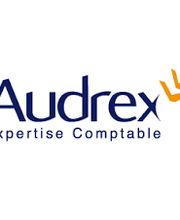 Audrex image 2