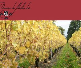 Domaine des Abeilles d'Or Bild 3